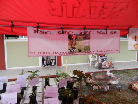 TECNOLOGIA DE AGRICULTURA
