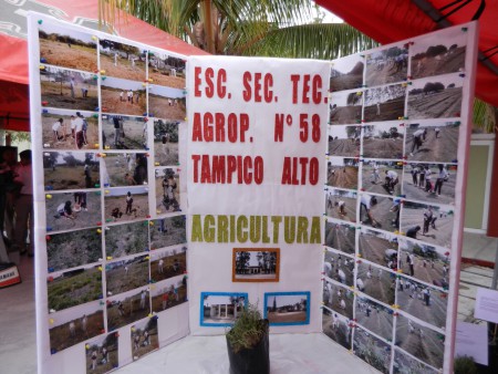 EXPOSICION DE FOTOS DE AGRICULTURA 