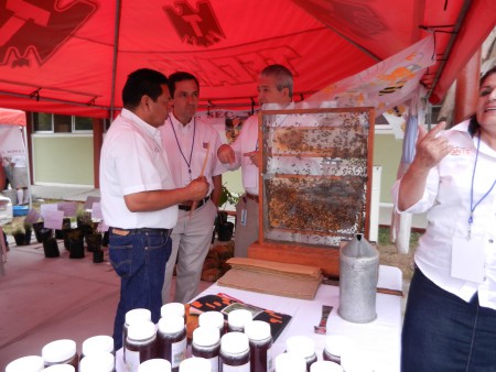 MOSTRANDO LAS ACTIVIDADES QUE SE REALIZAN EN LA ESCUELA